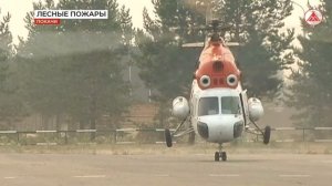 Как тушат лесные пожары?