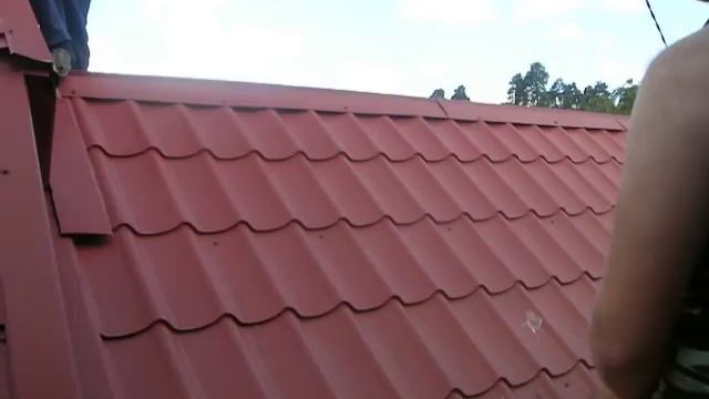 мої дурні сусіди смотреть онлайн