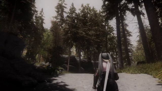 SKYRIM MOD I Jedi Tree With Dyndolod 3.0