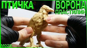 Лепка из пластилина. Австралийская ворона лепка птиц. Пластилиновые птицы.
