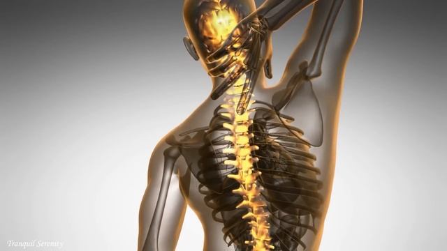 La Mejor Música Para Relajar El Cerebro Y Dormir, Calmar Tu Mente Para Dormir • 528 Hz смотреть онлайн