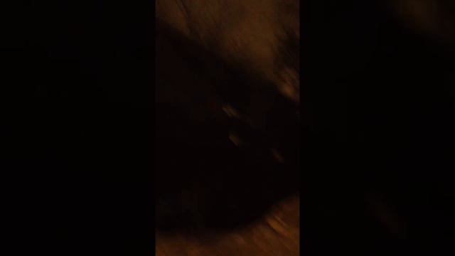 Пожар в Перми 30.12.2013 смотреть онлайн
