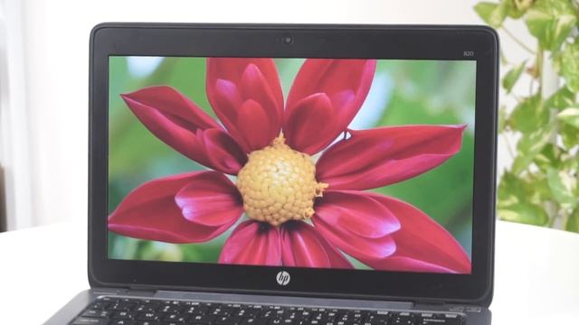 Laptop hơn 5 triệu Full hợp kim Magie siêu bền tiêu chuẩn quân đội - HP ELITEBOOK 820G1 смотреть онлайн
