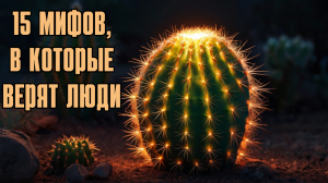 15 известных мифов, в которые мы почему-то верим