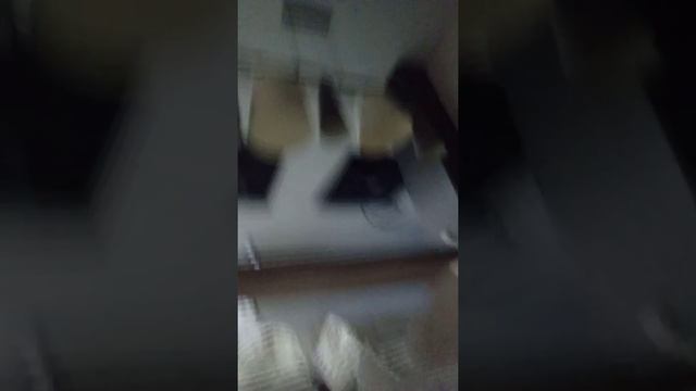 как научить собаку к туалету смотреть онлайн
