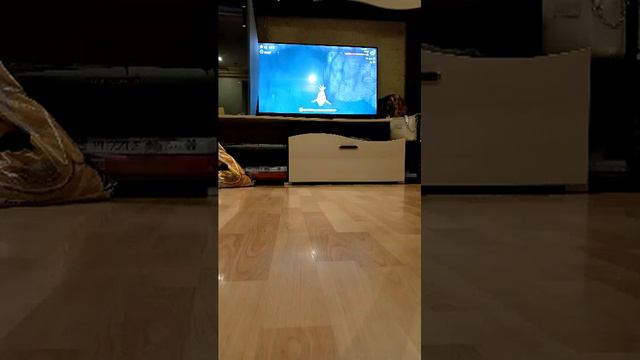 подпишись если не бот смотреть онлайн