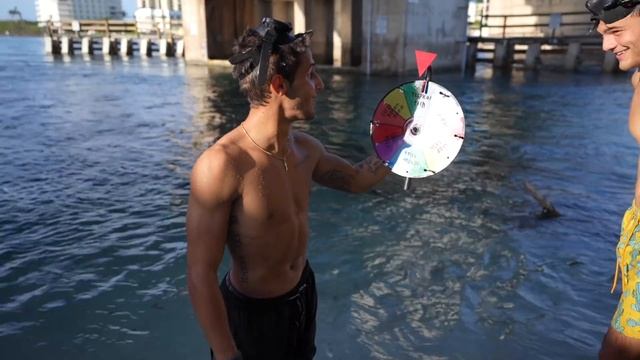 Spin The MYSTERY Wheel & CATCHING Whatever It Lands On For My AQUARIUM!! смотреть онлайн