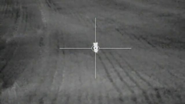 Pulsar Apex XD38 Thermal Riflescope - Fox/Vermin Control Footage - Warning