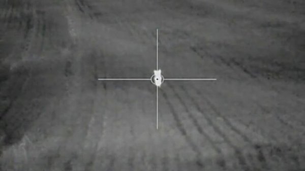 Pulsar Apex XD38 Thermal Riflescope - Fox/Vermin Control Footage - Warning