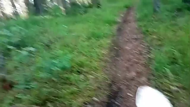 Покатушки на пите!