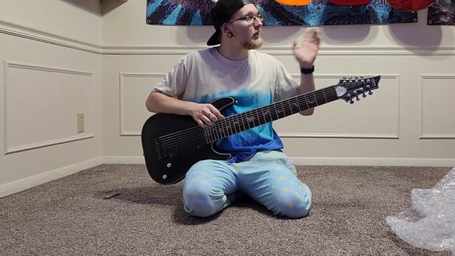 Schecter Damien Platinum 9 String Guitar Unboxing смотреть онлайн