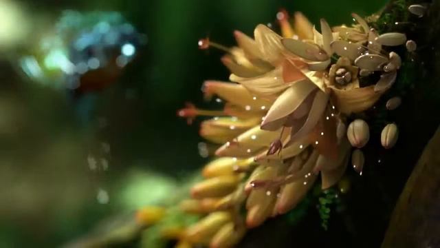 чудес америка смотреть онлайн