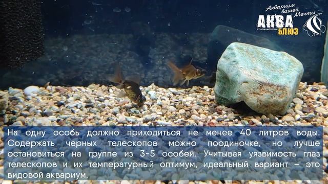 Телескоп черный 