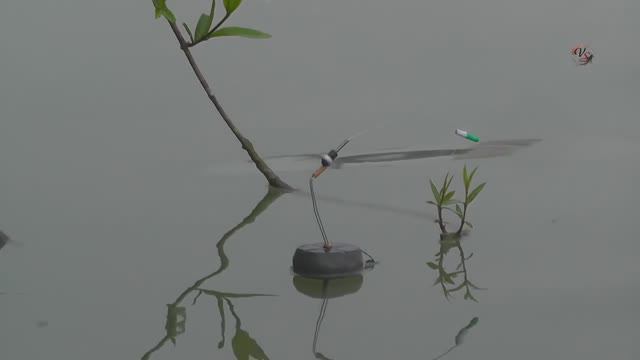 Мой Поплавок с Кивком собственной конструкции, Схема Fishing angeln la pesca câu cá 钓鱼 рыбалка смотреть онлайн