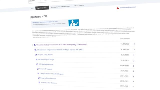 Sony A7sIII. Плюсы и минусы через год эксплуатации.
