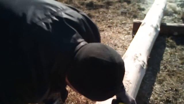 Как срубить баню из брёвен 1 смотреть онлайн