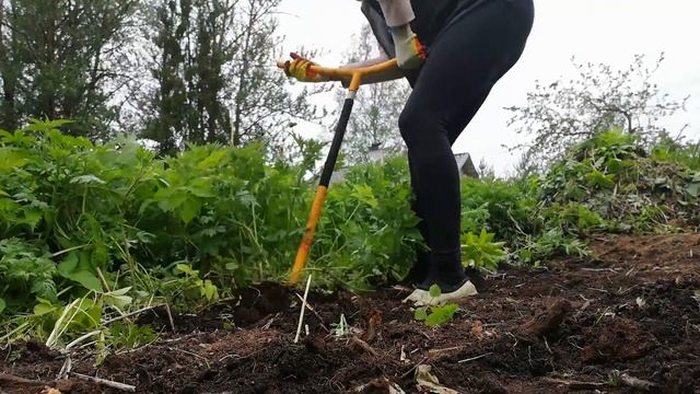 Культиватор ручной Торнадо. Принцип работы с ним//Высаживаем капусту. смотреть онлайн