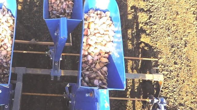 Сеялка для посадки Чеснока в работе смотреть онлайн
