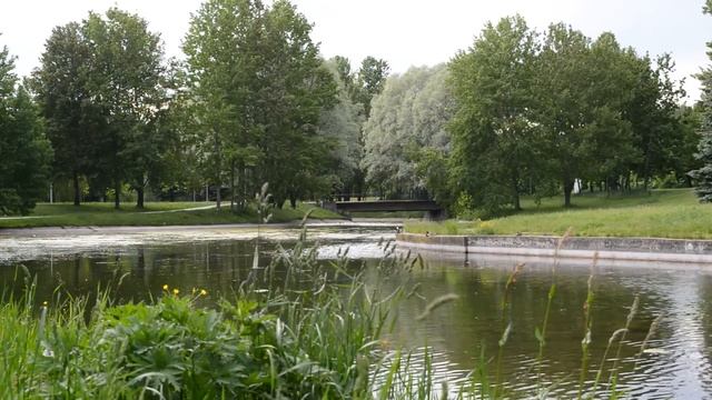 ПОЗНАВАЛ ЕЁ ВСЕ ВЫХОДНЫЕ НАПРОЛЕТ. Истории из жизни. Жизненные рассказы, измена жены смотреть онлайн