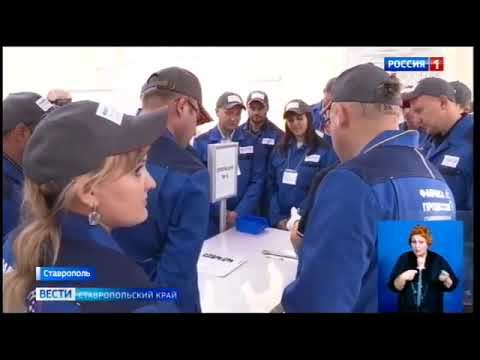 Что производит Фабрика процессов смотреть онлайн