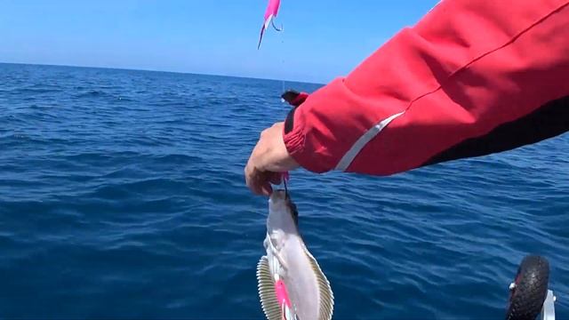 Рыбалка в ТАТАРСКОМ ПРОЛИВЕ ловля трески и камбалы смотреть онлайн