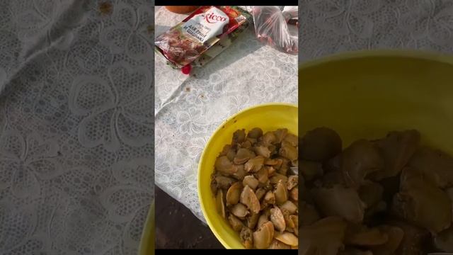 Кулинарное творчество на все случаи жизни 