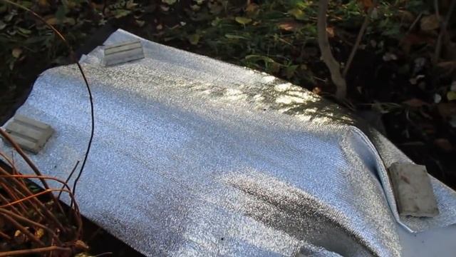 25 10 18г Укрываем в 5 этапов гортензию крупнолистную смотреть онлайн