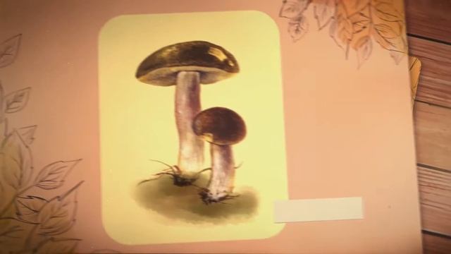 Назвы грыбоў па-беларуску. 2 частка | Названия грибов по-беларусски. 2 часть смотреть онлайн