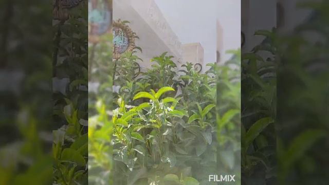 Балаханы - "Апшеронский Санторини" смотреть онлайн