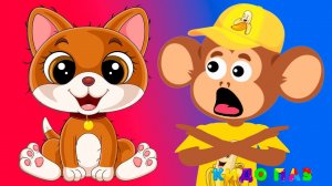 Как говорят Животные | Угадай кто это? |Кидо Паз Детские песни