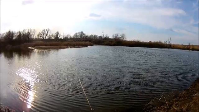 Сквозь Огонь к Марьину Пруду посёлка Красный, Бобровский район 08.03.2020 смотреть онлайн