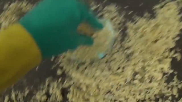 Как восстановить поцарапанный диск за 50 секунд! смотреть онлайн