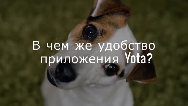 Как скачать Yota для Android: краткий обзор смотреть онлайн