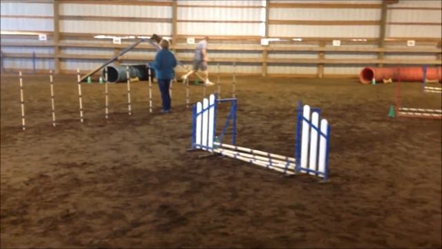 Ralph & Jigsaw.CPE Agility.Turner.OR.Ralph. SUN.10.5.2014 смотреть онлайн
