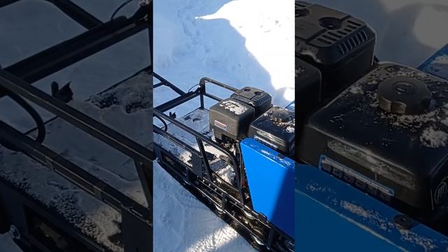 Мотобуксировщик #мотособака #мужик