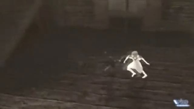 Ico & Shadow Of The Colossus History (Rus) смотреть онлайн