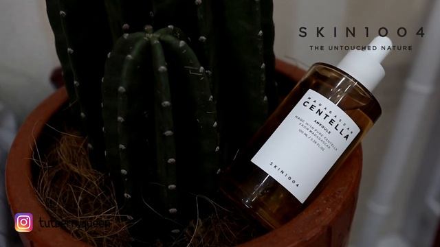 Acne Skin Gone In 2 Weeks | CENTELLA ASIATICA SKIN 1004