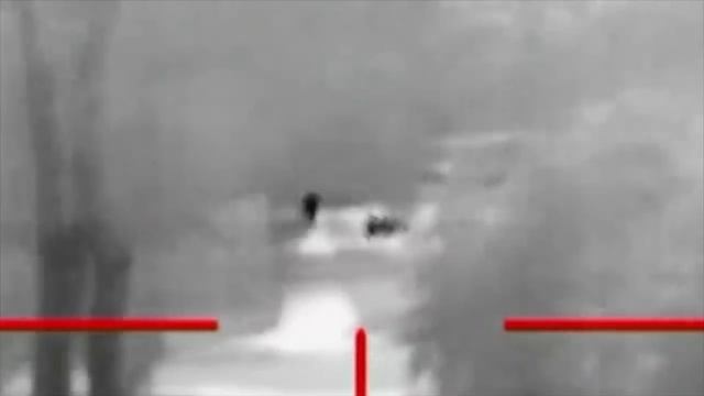 Американец снял видео, от которого мурашки по коже смотреть онлайн