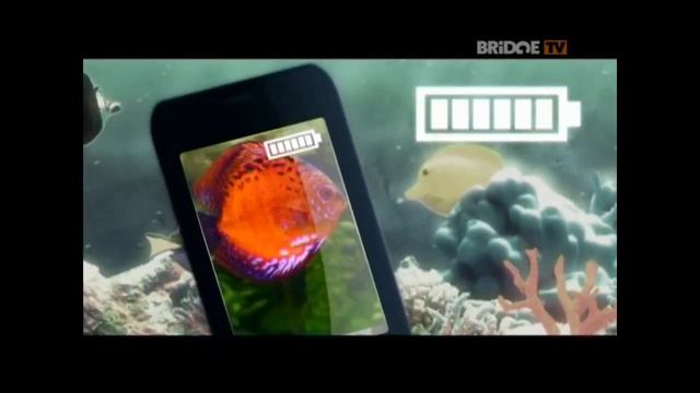 Реклама на BRiDGE TV 28.10.2016 смотреть онлайн