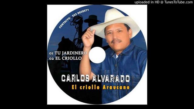 CARLOS ALVARADO EL CRIOLLO ARAUCANO смотреть онлайн