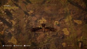 Assassins Creed:Origins-Загадка папируса(Путь природы)#7