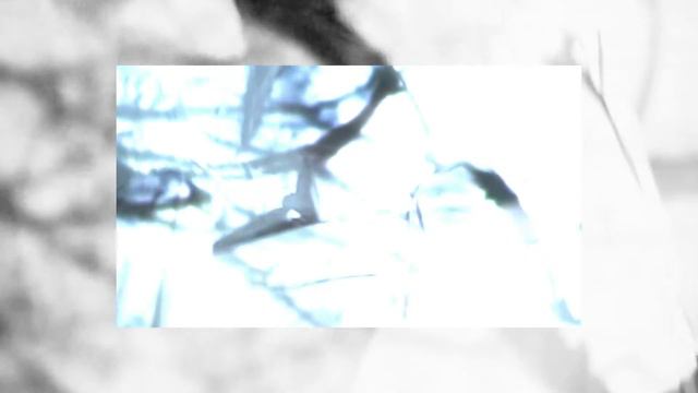 Symphocat - Clear Drops (Video By Anna Buravtsova)