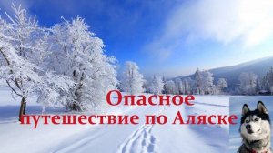 Опасное путешествие по Аляске.. (рассказ)