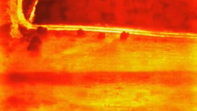 IR Cam-2 смотреть онлайн