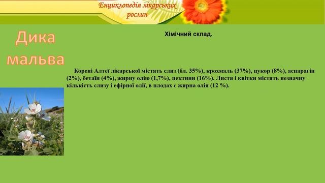 Дика мальва смотреть онлайн