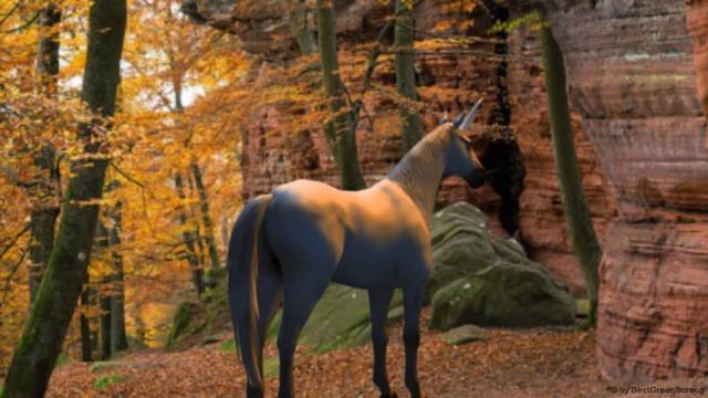 The Last Unicorn - free use смотреть онлайн