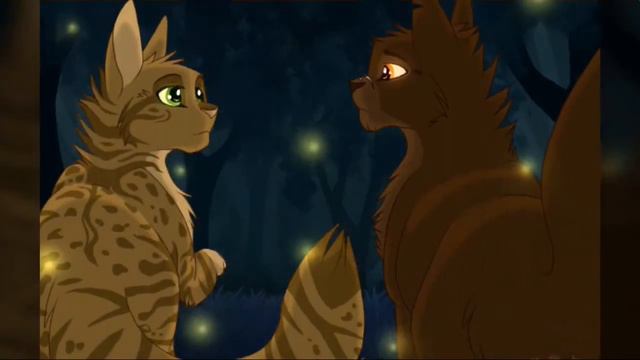 Пары котов воителей смотреть онлайн