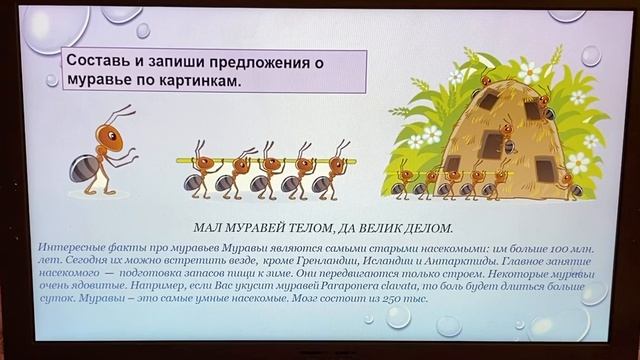 Русский язык. 6 урок. Животные рекордсмены смотреть онлайн