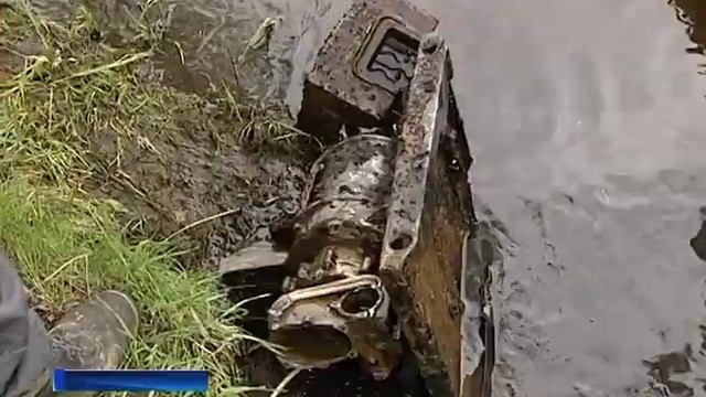 В Брейтовском районе активисты очистили от мусора дно и берег Рыбинского водохранилища