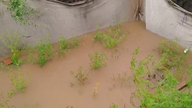 Пятница 13 ое в Анапе